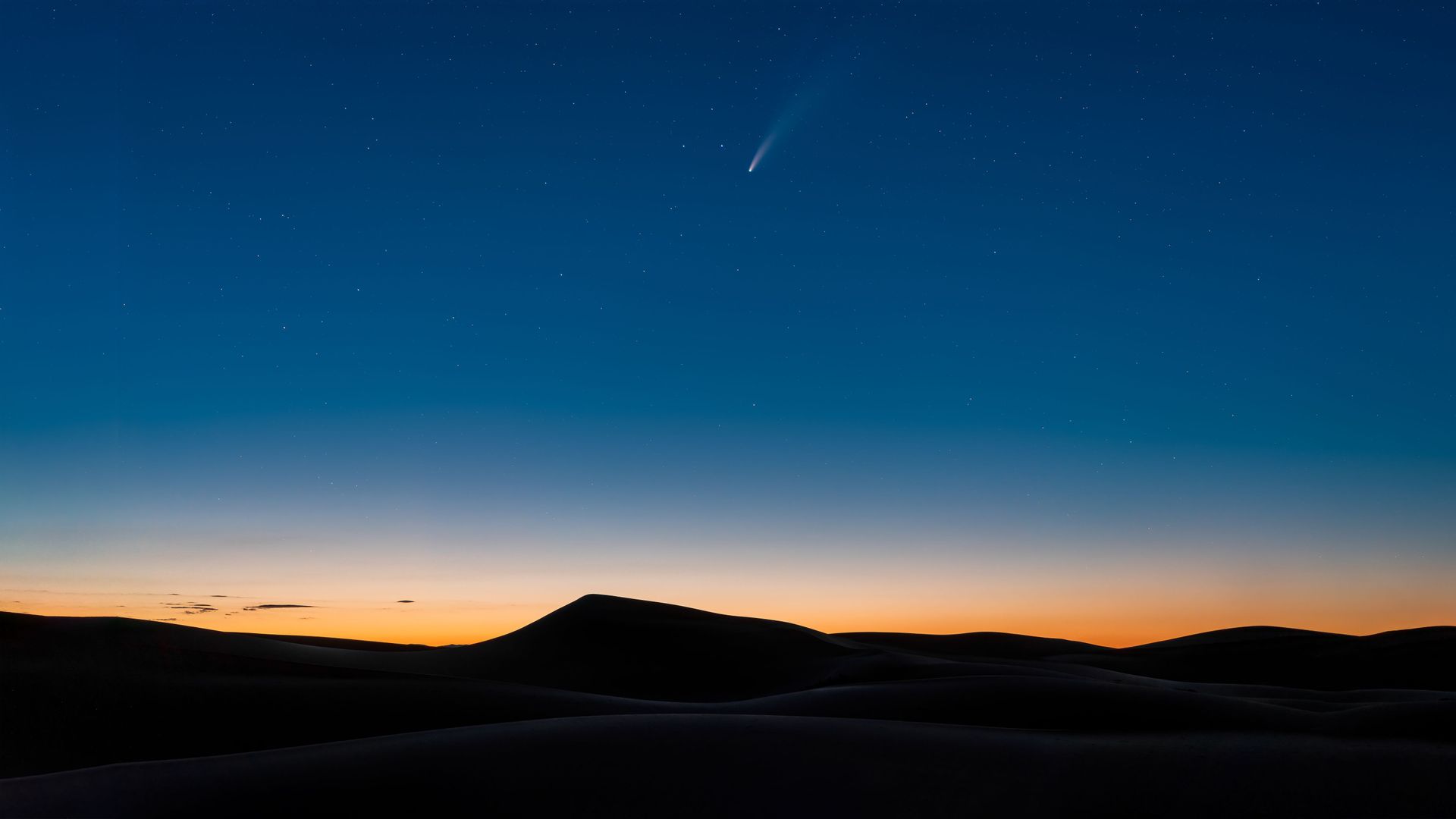 此内容被密码保护